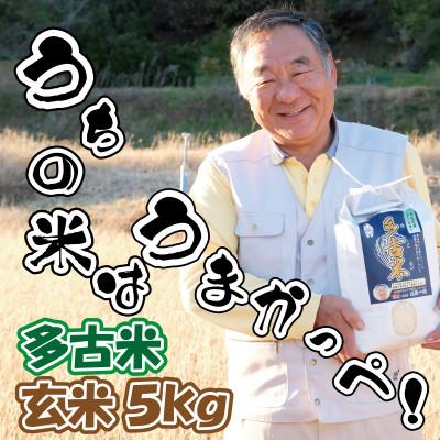 ふるさと納税 多古町 多古米グランプリ常連　佐藤さんのコシヒカリ【令和8年産玄米5kg】
