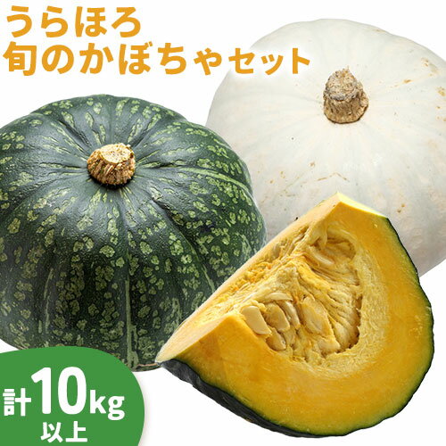 【ふるさと納税】かぼちゃ合計10kg（九重栗2～3玉、白い九重栗2玉程度）おかだ農園 北海道浦幌町産 安心安全こだわりの栽培 産地直送《9月中旬-11月上旬より順次出荷》