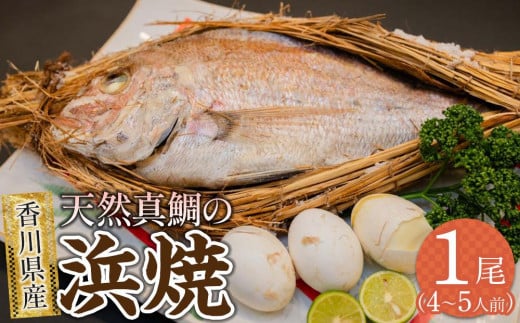 
天然真鯛の浜焼１尾（４人～５人前）
