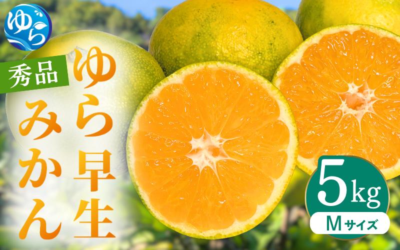 
            【先行予約】ゆら早生みかん 秀品 Mサイズ 5kg 贈答用※2025年10月頃に順次発送予定 / ゆら早生 柑橘 極早生 フルーツ 果物 くだもの 食品 人気 おすすめ 送料無料 由良町 【ksmt007】
          