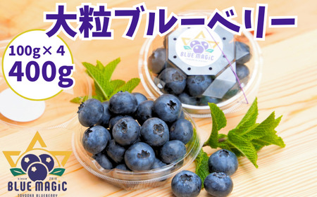 フレッシュ 大粒ブルーベリー 400 ｇ（100g×４パック） ふるさと納税 ブルーベリー 大粒 特大 フルーツ 果物 くだもの ジャム ヨーグルト チーズケーキ 銚子産 千葉県 銚子 AGRIMOV