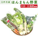 【ふるさと納税】ほんまもん野菜 約10〜12品目前後 10〜12種類 野菜 セット 詰め合わせ 旬 栽培期間中化学合成農薬・化学肥料不使用 臼杵市産 九州産 国産 送料無料