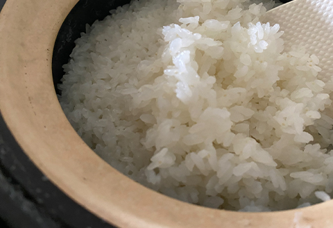 青野山の湧水と朝晩の寒暖差が育んだ棚田の甘~い米「コシヒカリ」(白米5kg×1袋)(令和7年産)