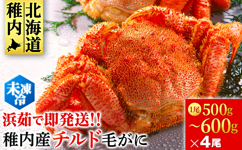 【未冷凍でお届け！】稚内産チルド毛がに 500～600g×4尾