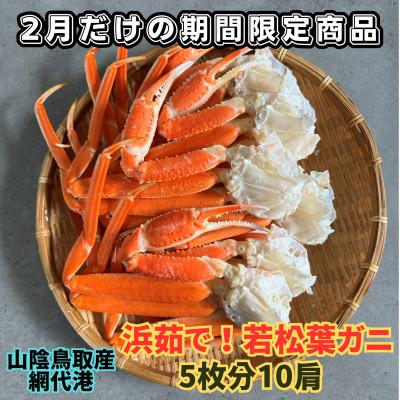 ふるさと納税 岩美町 鳥取網代港　地元で大人気　浜茹で!若松葉ガニ(中5枚分10肩)【さかなや新鮮組】