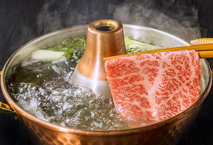 丹波篠山東門牛至宝の霜降りしゃぶしゃぶ肉（500g） AB13