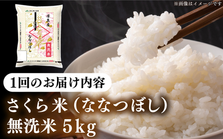 【全2回定期便】【無洗米】【令和6年産新米】さくら米（ななつぼし）5kg《厚真町》【とまこまい広域農業協同組合】 米 お米 無洗米 白米 ご飯 ななつぼし 北海道 定期便[AXAB074]