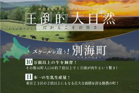  別海牛 使用 ファーストクラス ハンバーグ 140g×12個 be127-1472（ 牛 牛肉 別海牛 豚肉 はんばーぐ ハンバーグ 北海道 別海町 人気 ふるさと納税 ）