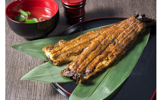 
備長炭でじっくり焼き上げた うなぎまぶしセット（４人前）
