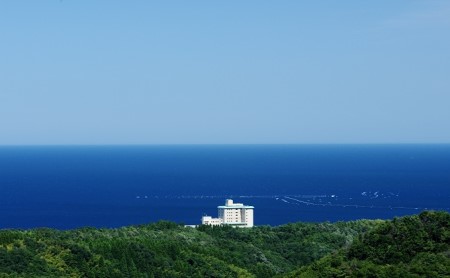 旅行 富山 ホテル 雨晴温泉 磯はなび ご利用 補助券 5000円分 旅行券 温泉 宿泊券 宿泊 旅行クーポン 食事券 お食事券 ホテル券 ギフト券 商品券 優待券 宿泊補助券 温泉利用券 入場券 チ