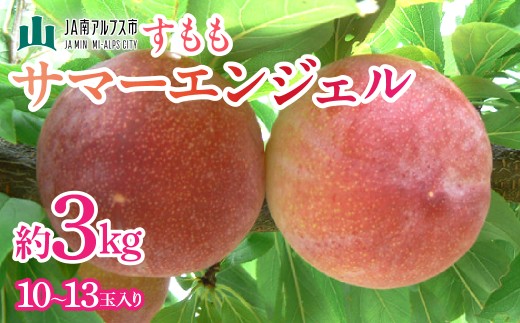 【2027年(令和9年)発送先行予約】来年発送！！すもも「サマーエンジェル」10～13玉入り×2箱約3kg ALPAA015