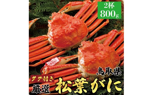 761.【ボイル】【2027年1月～2027年3月発送】 特撰 松葉がに【ブランドタグ付き】（800g超×2杯）【ブランド 蟹 タグ付き 生 ナマ かに 松葉ガニ 松葉蟹 訳あり カニ味噌 みそ 家庭用 鳥取県産 北栄町 おすすめ 人気】