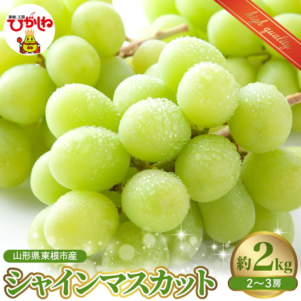 【ふるさと納税】 2025年産 ぶどう 「 シャインマスカット 」 2kg ( 2～3房 )/ シャイン マスカット ブドウ 葡萄 フルーツ 果物 くだもの 期間限定 産地直産 ご当地 お取り寄せグルメ 秋 旬 お取り寄せ 東北 山形県 東根市産