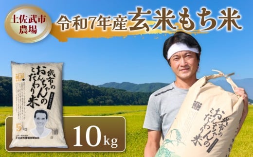 令和7年度 もち米 10キロ 数量限定 減農薬栽培 餅米 もちごめ 玄米 低化学肥料 高知県 南国市