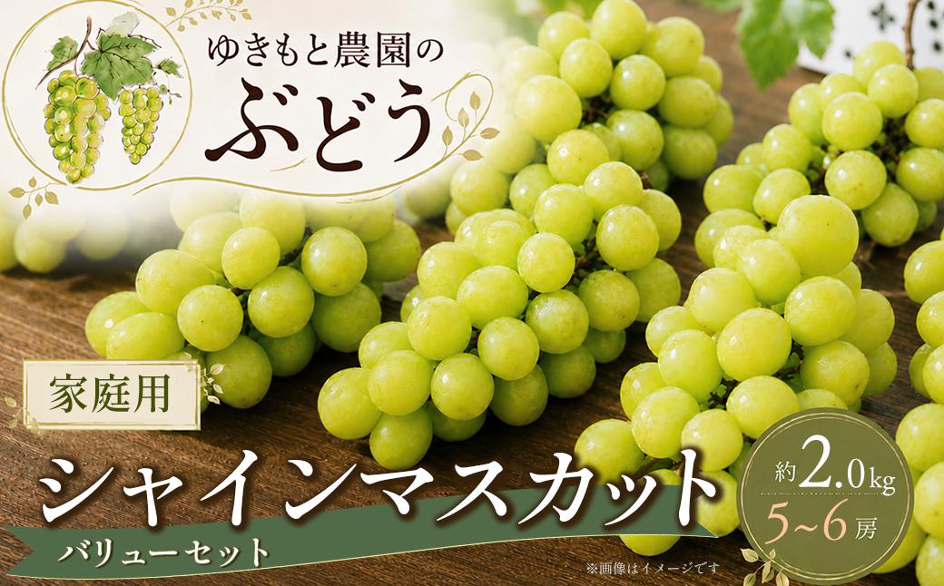 
                  シャインマスカット 家庭用 約2.0㎏ （5～6房）バリューセット 愛媛県産 西条市 ゆきもと農園 農家直送 シャインマスカット しゃいんますかっと マスカット 家庭用 シャインマスカット ぶどう 葡萄 愛媛県 西条市 完熟 種なしぶどう 期間限定 先行予約 【オンライン決済限定】
                