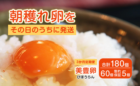 熊福こだわり美豊卵　60個　3か月定期便