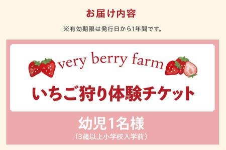 【2026年1月～実施】 いちご狩りチケット 幼児（3歳以上小学校入学前）1名様 苺 イチゴ 苺狩り レジャー 体験チケット お出かけ 愛知県 知多市