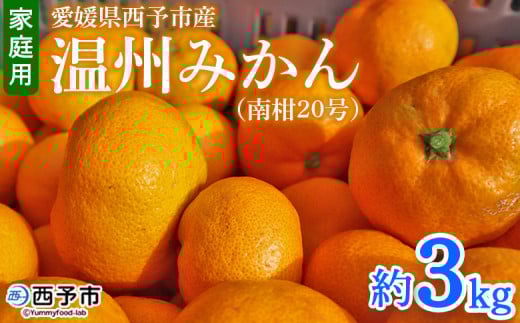先行予約 ＜愛媛県西予市産 温州みかん（南柑20号）家庭用 約3kg（サイズ不揃い・小傷あり）＞ 訳あり  果物 くだもの ミカン 柑橘 フルーツ 食べて応援 特産品 段畑みかん 愛媛県 西予市【常温】『2025年11月中旬～12月中旬迄に順次出荷予定』