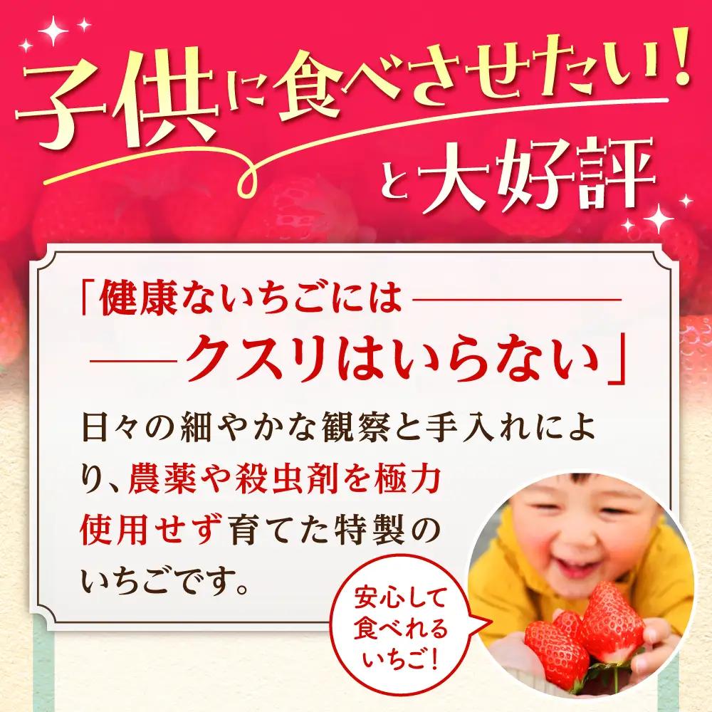 【先行予約】【12月発送】王様のいちごいちごさん400g×2箱むらおか農園 HAF001 果物 フルーツ