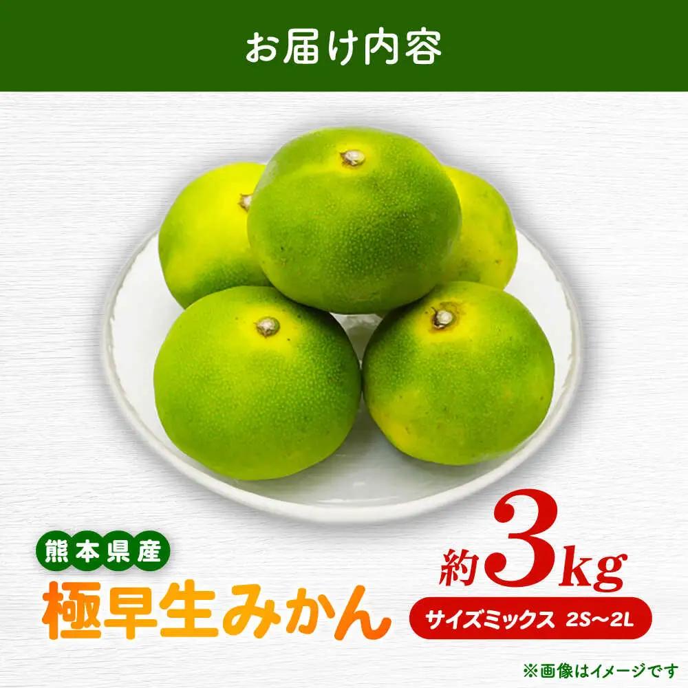 【先行予約】 極早生みかん 2S-2L 約3kg みかん 蜜柑 柑橘 フルーツ 果物 【日本フルーツ株式会社】[ZFJ053]