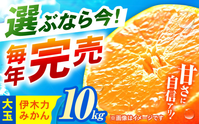 
            ※【2025年11月発送分／先行予約】伊木力みかん（大玉）10kg / みかん ミカン 蜜柑 柑橘 フルーツ ふるーつ 果物 くだもの / 諫早市 / 山野果樹園 [AHCF005]
          