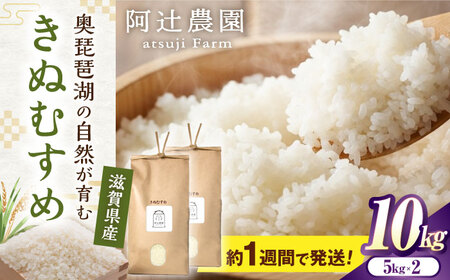 【スピード発送】きぬむすめ10kg [AQAW016] 米 白米
