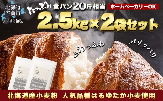 北海道産 はるゆたかブレンド小麦粉 シルバーライズ（パン用強力粉）5kg MROBI014