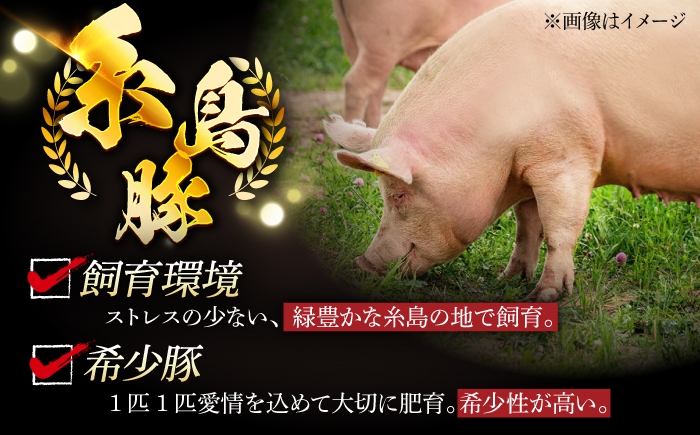 豚肉 セット スライス しゃぶしゃぶ ロース トンカツ スペアリブ こま切れ