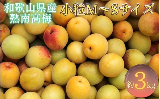 紀州和歌山県産 熟南高梅 生うめ 優品 約３kg (S、Mサイズおまかせ)+3%増量＜2027年6月上旬～7月上旬発送予定＞/ 梅干し 梅酒 ウメシロップ ジュース ジャム他 紀州熟南高梅 青梅 黄梅