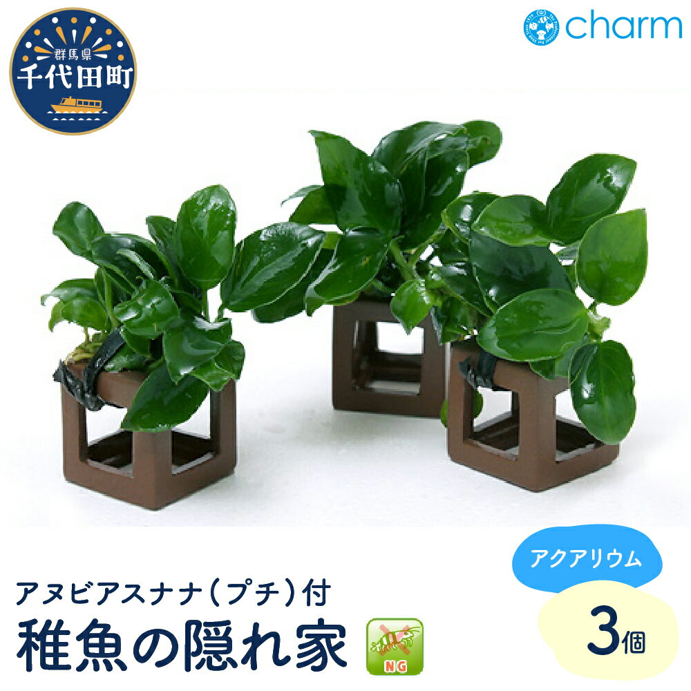 【ふるさと納税】水草 稚魚の隠れ家 アヌビアスナナ プチ付 水上葉 3個 インテリア ナチュラル 自然 リラクゼーション 室内栽培 プレゼント 送料無料 趣味 緑 人気 オススメ 初心者 玄関 リビング キッチン 水槽 アクアリウム 株式会社チャーム