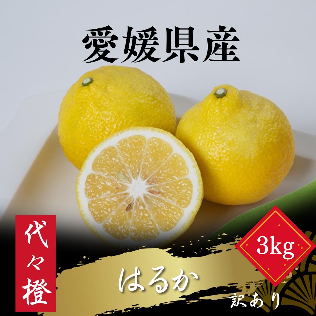 
                  ＜爽やかな甘さ＞＜訳あり＞はるか 3kg＜A83-35＞【1623657】 YWTW035
                