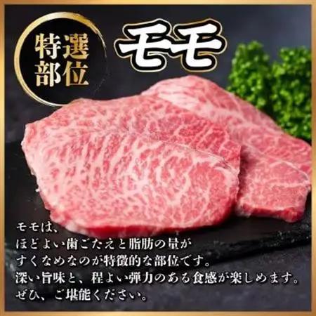 飛騨牛 もも肉ブロック 約800g(約400g×2)【冷蔵便】A4～A5等級 黒毛和牛 BBQ用【配送不可地域：離島】【1657527】