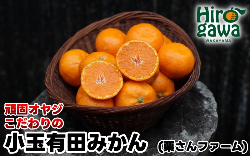 頑固オヤジの 有田 みかん 小玉 5kg / 温州みかん 有田みかん 甘い 小粒 ちっちゃい 家庭用 訳あり 和歌山 柑橘 ※11月中旬～翌年1月下旬頃に順次発送予定 【krf004-s-5B】