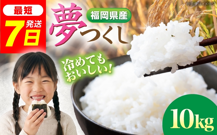 
                  令和7年度産 楠本農園 夢つくし 精米 10kg 《豊前市》【楠本農園(93farm)】お米 米 白米 ゆめつくし ご飯 [VEV002]
                