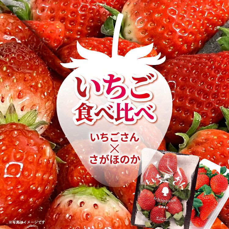 【ふるさと納税】【1月以降発送】佐賀県産 いちご 食べ比べ 480g (いちごさん さがほのか 各240g) | 先行予約 苺 イチゴ 果物 旬 デザート 小分け _b-497