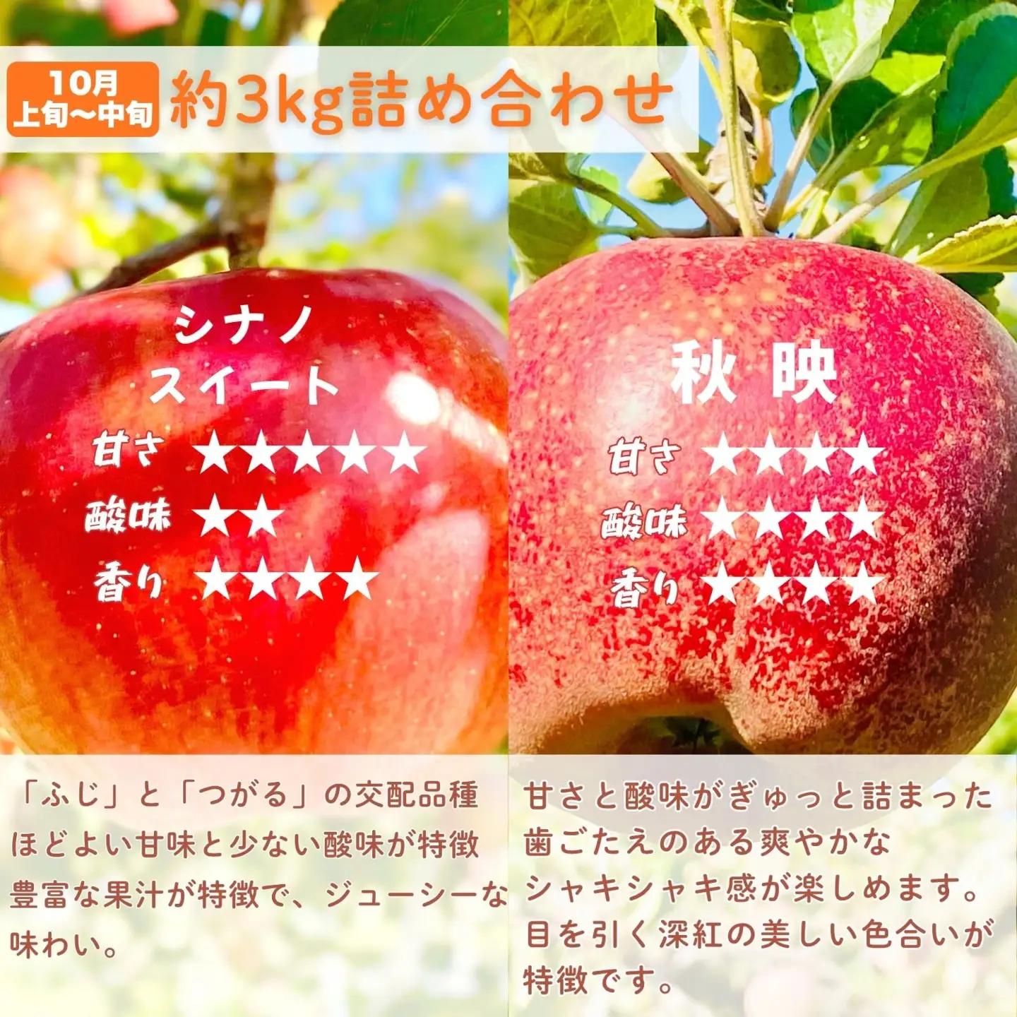 【先行予約│2026年発送 定期便 全4回】旬のりんご定期便 （At-029）
