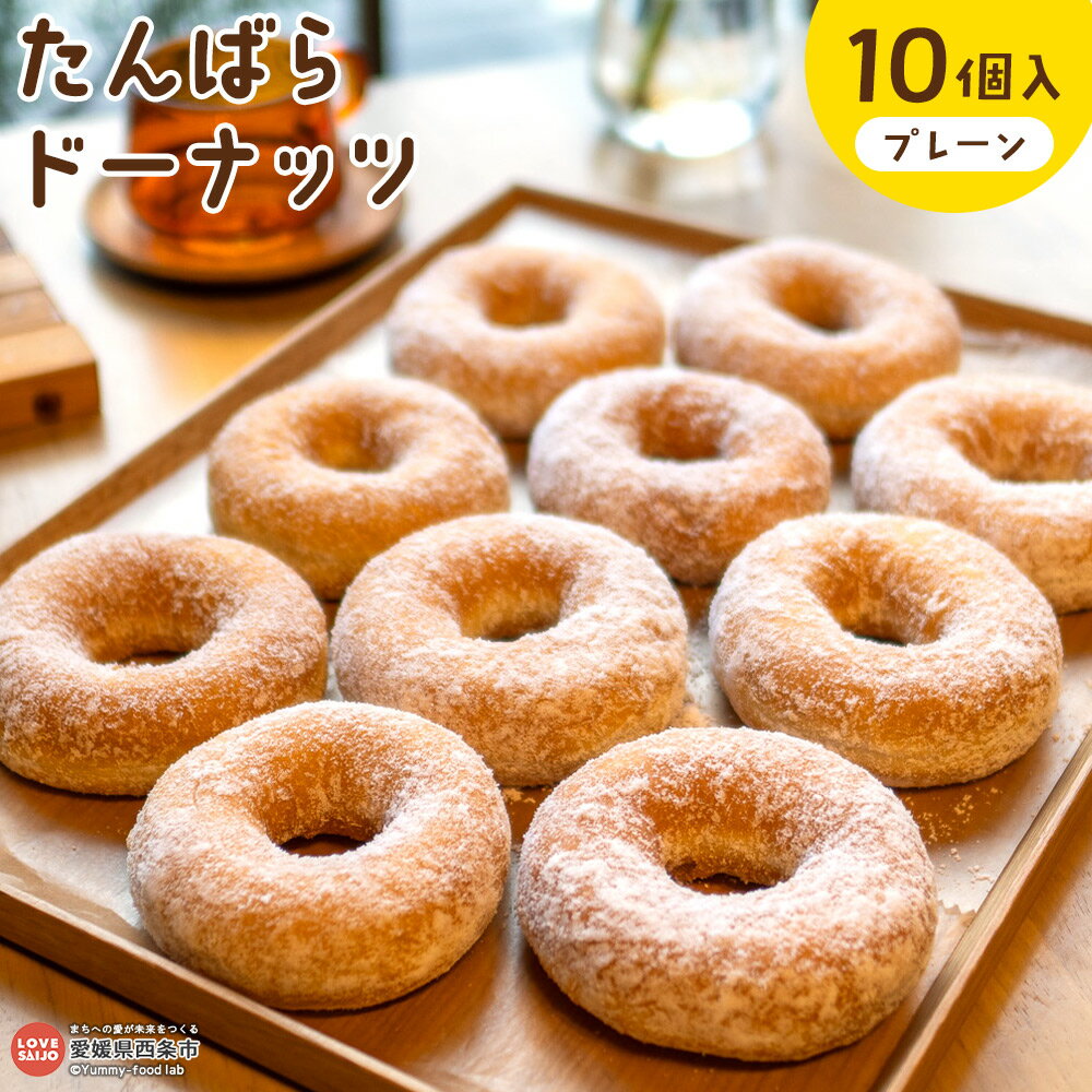 【ふるさと納税】＜たんばらドーナッツ プレーン 10個セット＞※翌月末迄に順次出荷します。ドーナツ 蒸しドーナッツ おやつ スイーツ お菓子 詰合せ 詰め合わせ 国産 西条市産 ヘルシー 新食感 もっちり ふんわり ティータイム CREW TAMBARA 愛媛県 西条市【冷凍】
