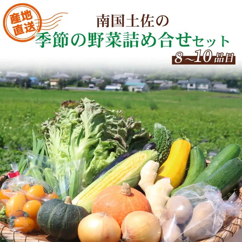 【野菜】農家直送 季節の野菜(8～10種類）
