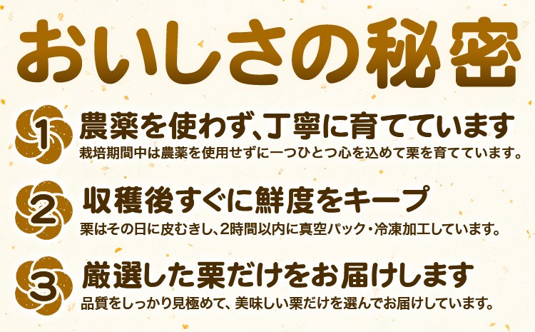 菊池水源産 さのマロン 冷凍剥き栗 500g×1個