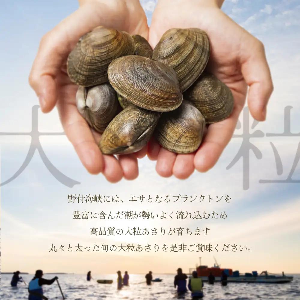 御礼！ランキング第1位獲得！北海道 野付産 大粒 天然 活あさり 2kg前後 あさり