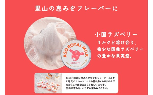 【ASO ROYAL MILK】阿蘇小国ジャージーアイス 小国ラズベリー 100ml 16個 1600ml 国産 熊本県産 小国ジャージー牛乳 ジャージーミルク ゴールデンミルク 国産ラズベリー 熊本