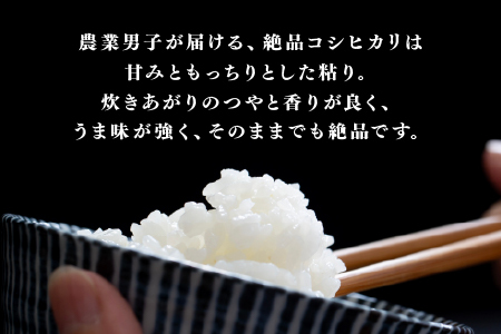 【数量限定！20袋限定販売！！】令和7年産　コシヒカリ　通常便（1回配送）計10kg（5kg×2袋）