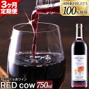 【ふるさと納税】【3ヶ月定期便】南阿蘇村産ぶどう100%使用 赤ワイン RED cow 1本 750ml《お申込み月の翌月から出荷開始》熊本県 南阿蘇村 カベルネ・ソーヴィニヨン ヤマ・ソーヴィニヨン ワイン 酒 お酒 定期 計3回 お届け