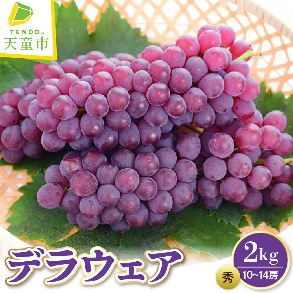 【ふるさと納税】ぶどう（ デラウェア ）2kg 令和8年産 先行予約 2026年 果物 くだもの 小粒 種無し 葡萄 デザート フルーツ 旬 冷蔵 のし 贈答 お取り寄せグルメ 産地直送 送料無料 【 山形県 天童市 】