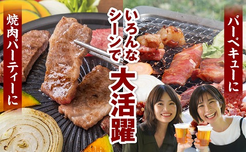 宮崎牛カルビ(バラ)焼肉 合計400g 宮崎牛 ブランド牛 バラ肉 焼肉 焼き肉 スライス バーベキュー BBQ 真空パック 冷凍 カルビ 牛肉_M365-001-01