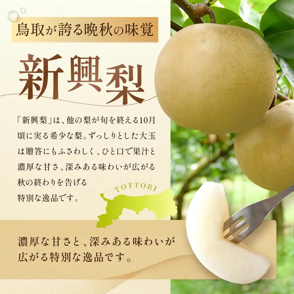 【2026年10月頃より発送】岸田秀果園 新興梨(ギフト用) 5kg