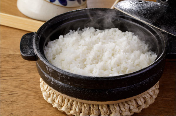 
多賀城のお米　令和5年産ササニシキ　玄米10kg　【04209-0069】
