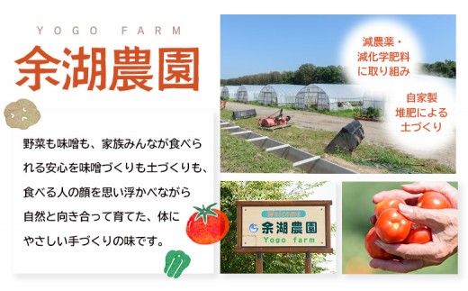 自家製味噌　700g×2パック
