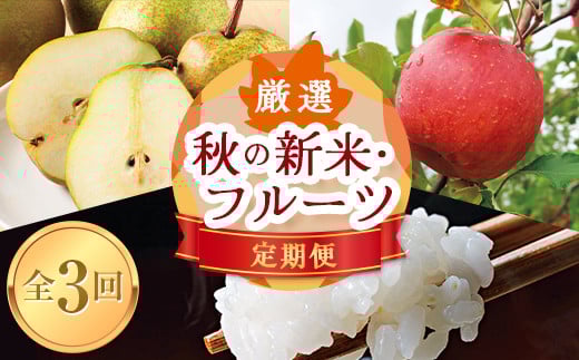 《先行予約 2026年10月発送開始》山形県の至高！ 山形県厳選 秋の新米・フルーツ定期便B 全3回  つや姫 米 お米 ブランド米 銘柄米 備蓄 日本米 コメ ごはん ご飯 食品 山形県 FSY-2611