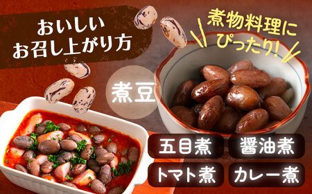 北海道 あしょろの中長うずら豆 1kg×2袋  豆 豆 豆 豆 豆 豆[BEAA022]